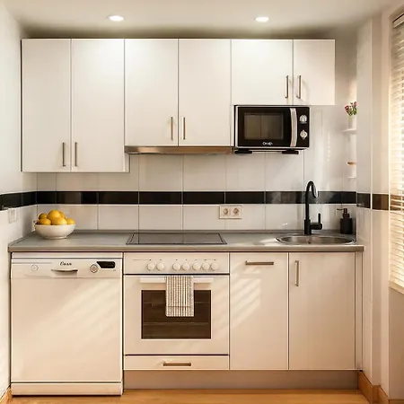 Erase Vez Turistico Junto A La Catedral De Appartement Burgo