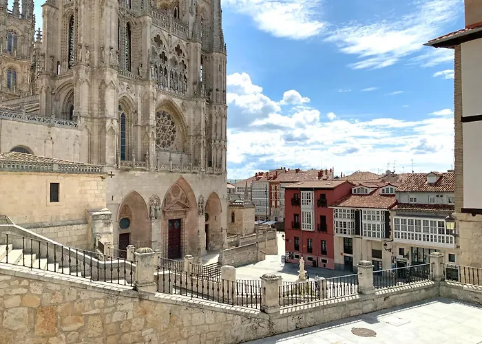 Erase Vez Turistico Junto A La Catedral De Burgo
