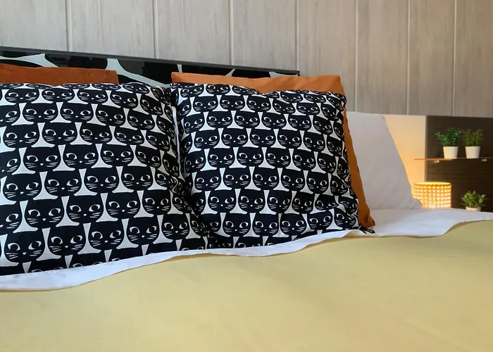 Erase Vez Turistico Junto A La Catedral De * Burgo