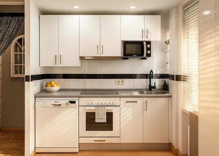 Erase Vez Turistico Junto A La Catedral De Appartement Burgo